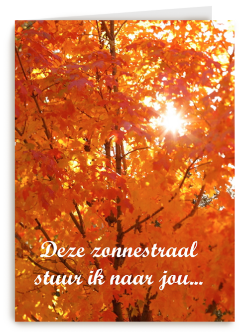 Boom in herfst