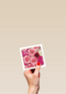 flash bloemen roze