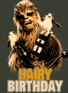 Star Wars Chewbacca Hairy Birthday