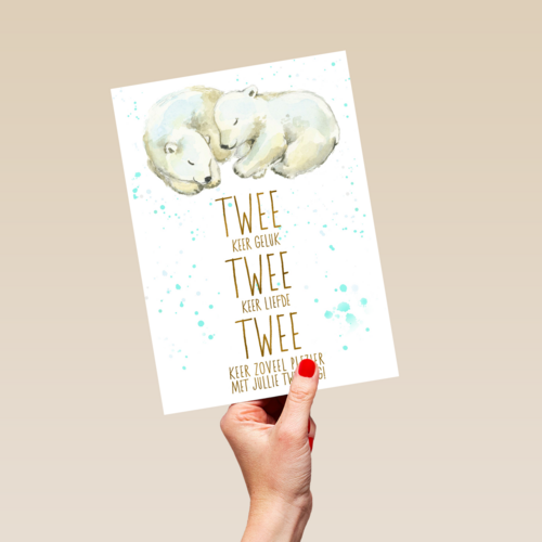 2 keer geluk 2 keer liefde 2 keer plezier met jullie tweeling