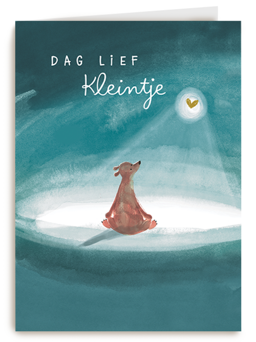 Kaart Hallmark | Condoleance Kaarten Herinnering | Condoleance Dag Lief Kleintje