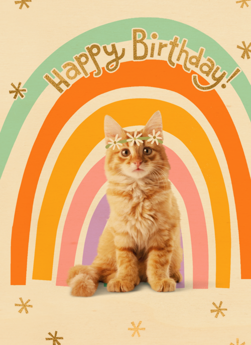 Regenboog kat Happy Birthday