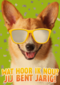 wat een coole hond voor je verjaardag