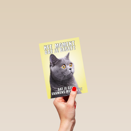 Geslaagd kaart Kat grappig