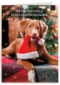 Kerstkaart klassiek Hond met kerstmuts