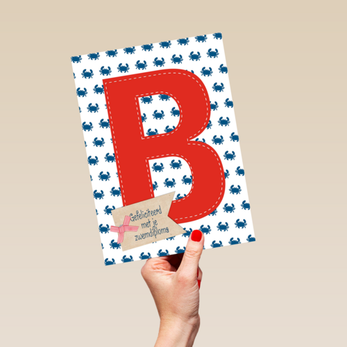 gefeliciteerd met je zwemdiploma B
