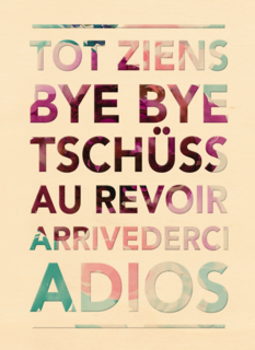 tot ziens bye bye au revoir adios