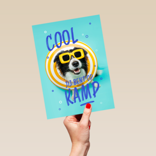 Op kamp hond bril