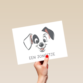 geboorte felicitatie Disney jongetje