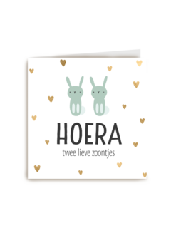 geboorte meerling jongetjes hoera lieve zoontjes