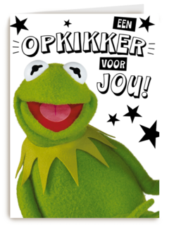 Beterschapskaart Kermit Een opkikker voor jou
