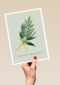 Kerstkaart klassiek tak met winter greetings