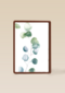 blanco condoleancekaart met plant