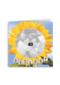 fotokaart bedankt met zonnebloem