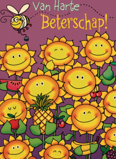 beterschap zonnebloem