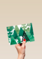 forest full of trees