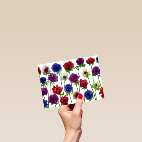 Chromazone Fleurige bloemen