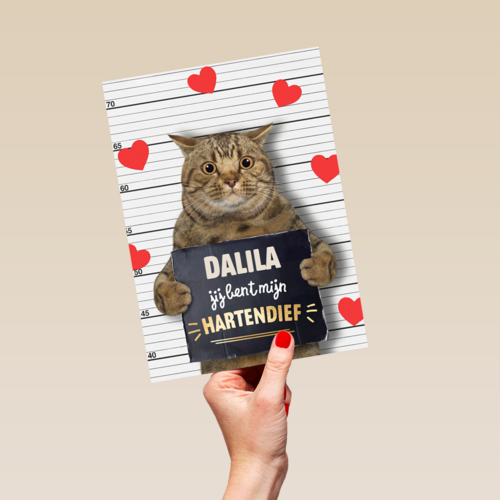 valentijn kaart kat grappig jij bent mijn hartendief