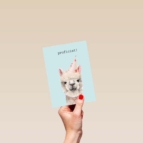 Verjaardag kaart hip happy birthday lama alpaca