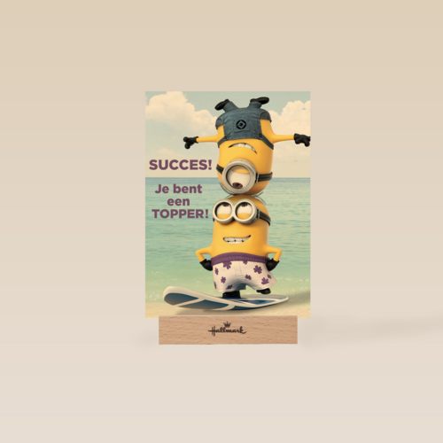 minions succes je bent een topper