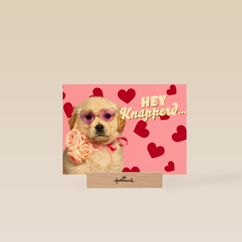 Hey knapperd