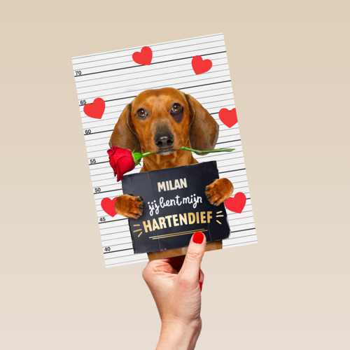 valentijn kaart hond jij bent mijn hartendief