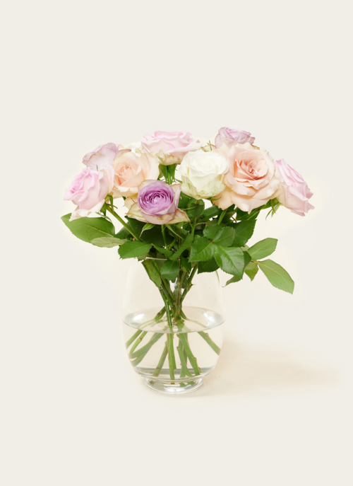 Brievenbusbloemen Rozen Pastel Crush | Hallmark Cadeau Bloemen En Planten |