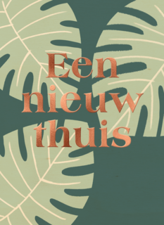 een nieuw huis met palmbladeren