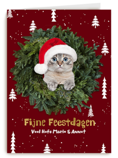 Kat in de boom fijne kerst