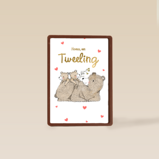 Tweeling geboortefelicitatie 2 lieve beertjes