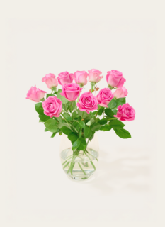 Brievenbus Bloemen Rozen Roze