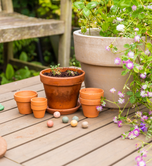 Jij Bent Goud Waard Blossombs Box Met 4 Bloemzaden
