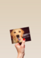 animal fiesta taart welke taart