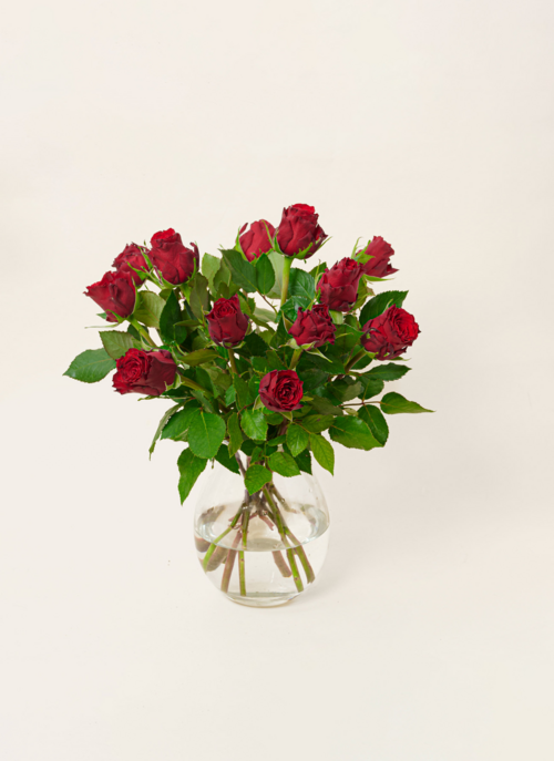 Brievenbusbloemen Rozen Rood | Hallmark Cadeau Bloemen En Planten |