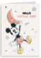 Disney geboortefelicitatie hello little one