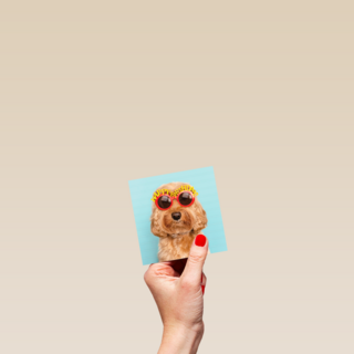 Verjaardagskaart hond met zonnebril