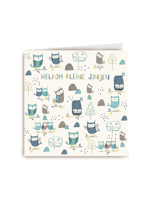 geboorte felicitatie jongen uiltjes