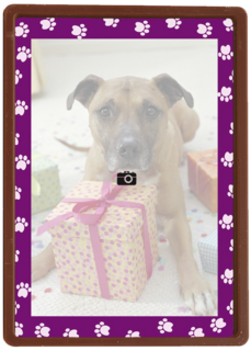 fotokaart paars omkader viervoeter