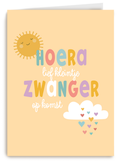 Zwangerschap Lief Kleintje Op Komst