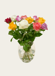 Brievenbusbloemen Rozen Taylor