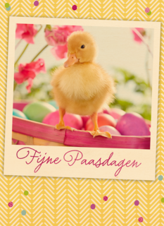 pasen kaart klassiek eendje