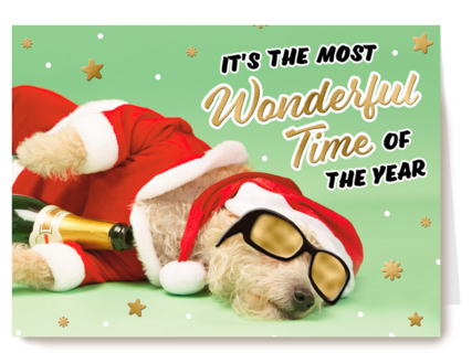 hond verkleed als kerstman met champagnefles