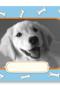 fotokaart met groetjes van onze hond