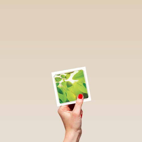 flash groen blad