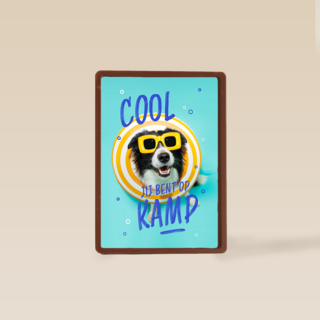 Op kamp hond bril