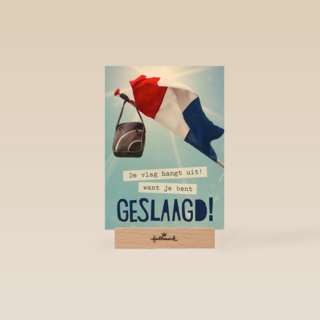 de vlag hangt uit geslaagd