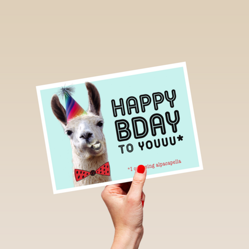 happy bady party alpaca
