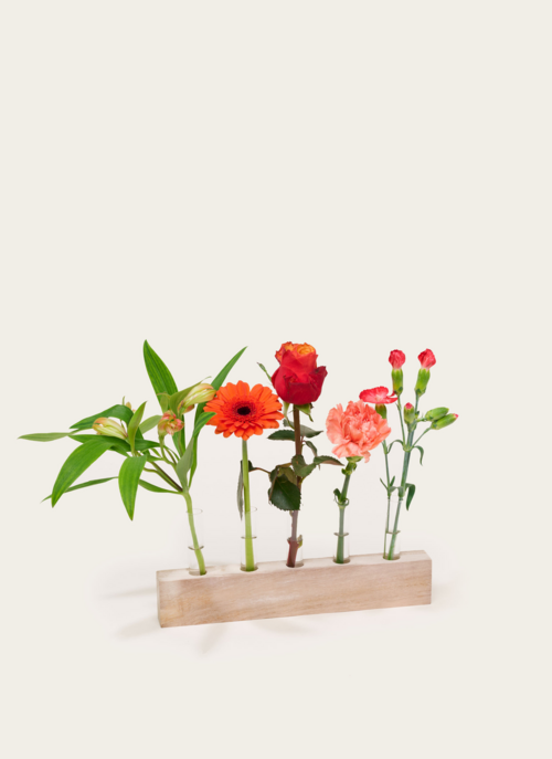 Brievenbuspakket Vaasjes Orangerie | Hallmark Cadeau Bloemen En Planten |