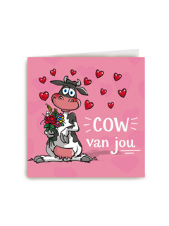 cow van jou