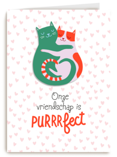 Onze vriendschap is purrrfect